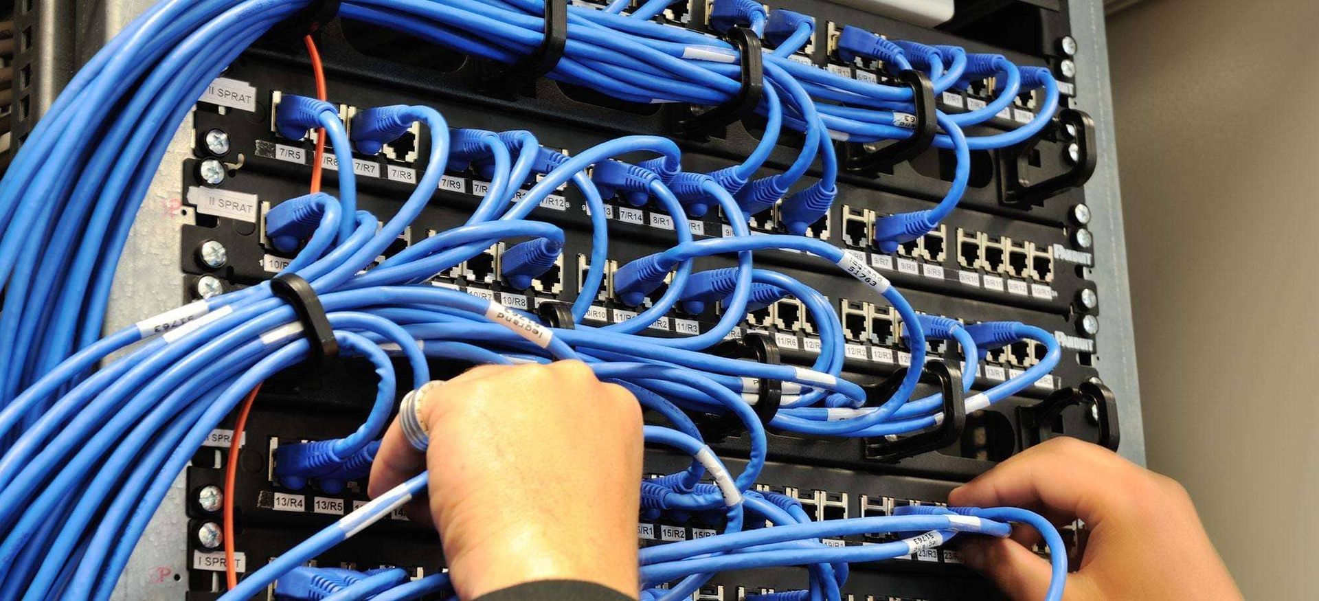 Mehrere blaue Kabel und zwei Hände